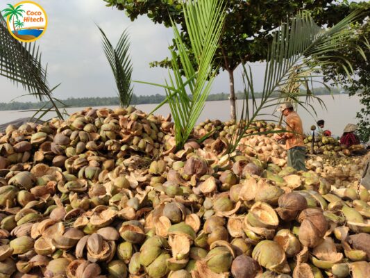 ココナッツ‐ココハイテック