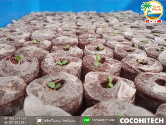 ココナッツコイアペレット