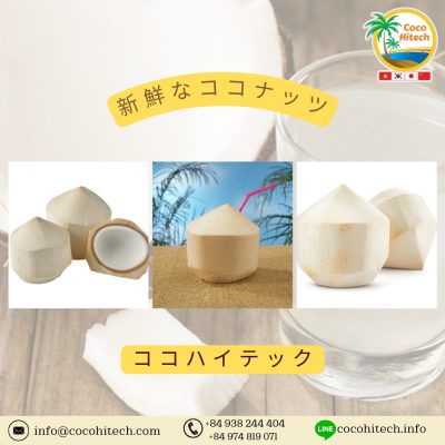 ココナッツ