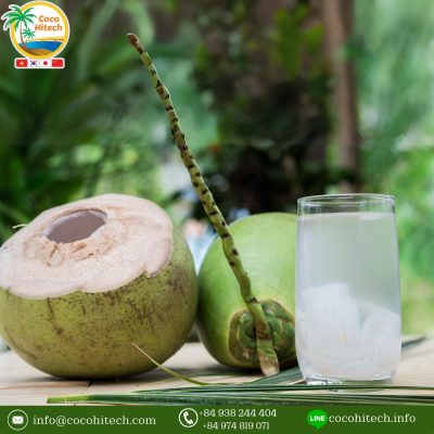 ヤングココナッツ - ココハイテック